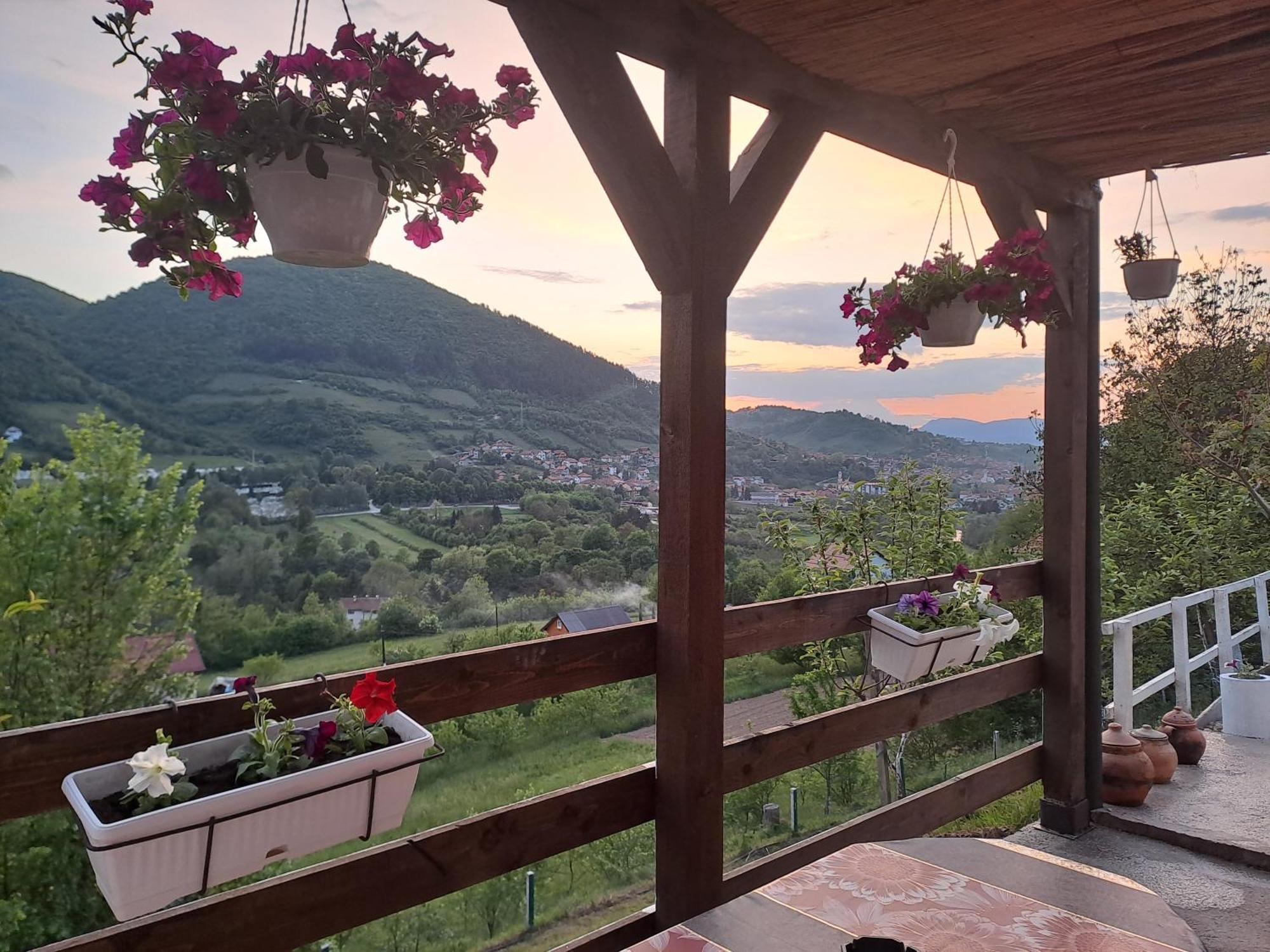Natural House Visoko Pokoj fotografie